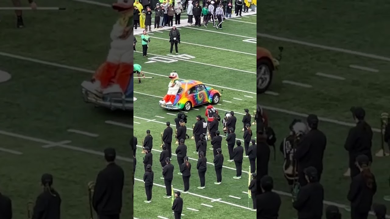 Grateful Dead Dancing Bears at the Oregon Ducks Game