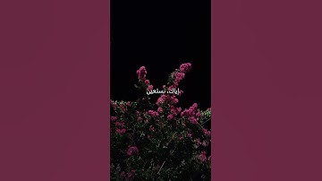 ✨ Surah Al-Fatiha | The Opening | سورة الفاتحة