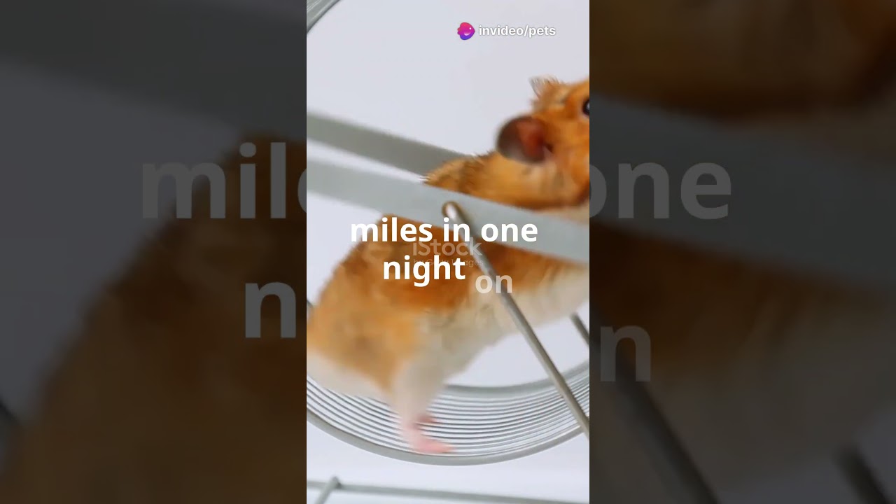 10 Mind-Blowing Pet Facts for Animal Lovers