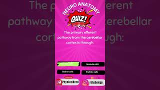 The Only Cell That Sends Signals OUT of the Cerebellum | #neuroanatomy Physiotherapy"#shorts #quiz