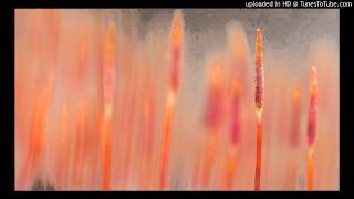 Weaping Song Koljo Peshterski