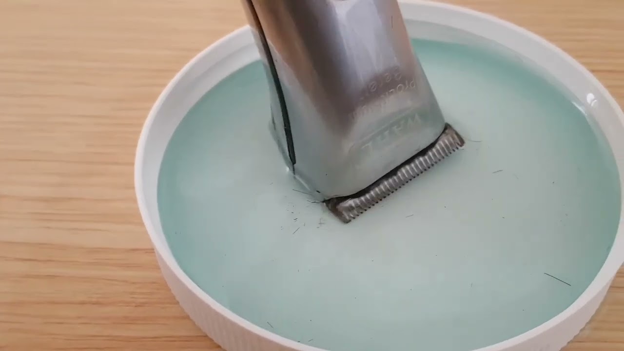 Bersihin clipper pakai Andis Blade Care Plus