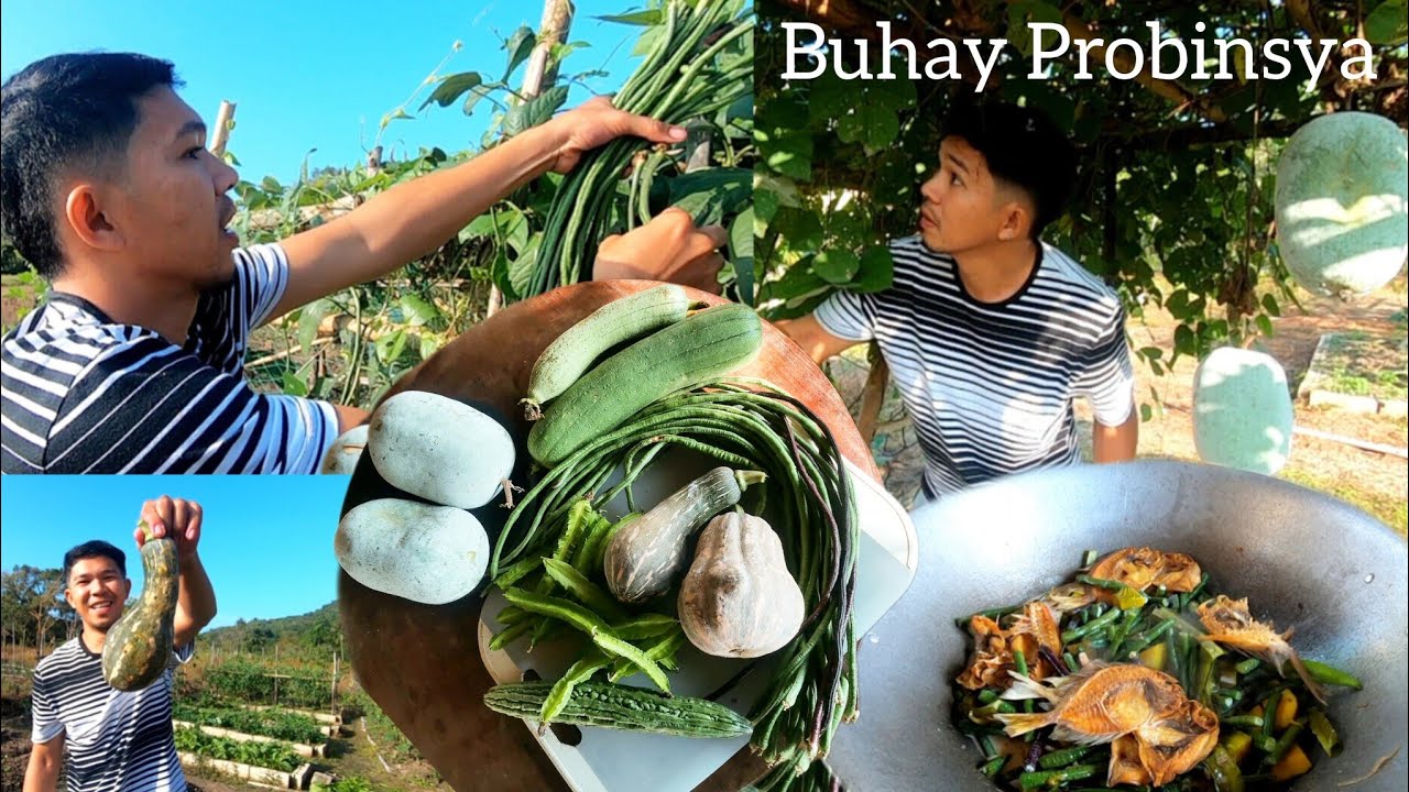 Ep.663- Magulang na ang kundol pwede na gawing candy | buhay probinsya