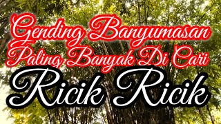 Gending Banyumasan@tejasarichanel5916