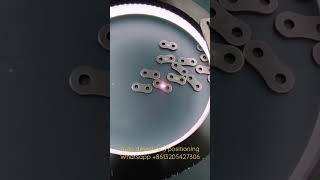 laser marking machine with CCD camera- auto position auto detection visual laser marking