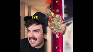 This Kid Really Sold That In School