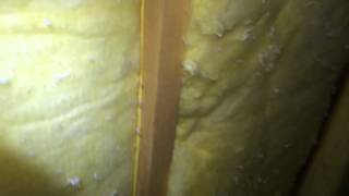 Pointless knee wall insulation - not touching the drywall