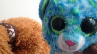 Dogs
