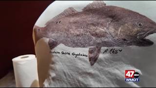 Discover Delmarva Arts: Eastern Shore Gyotaku