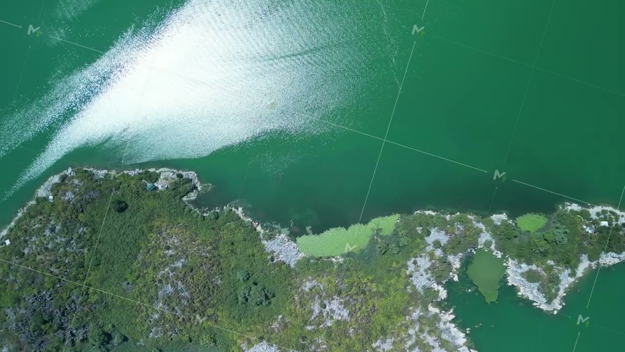 Captivating Aerial View of a Lush Green Island Surrounded by Beautiful Turquoise Waters