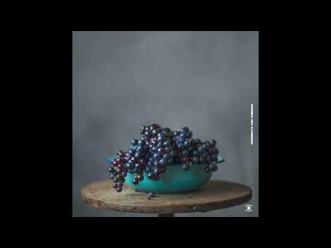 Reinhard Vanbergen - Juliens Journey - 0206