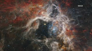 Webb Telescope captures thousands of never-before-seen young stars in the Tarantula Nebula