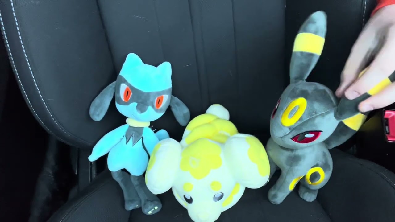 Pokemon roadtrip 2 Part 1