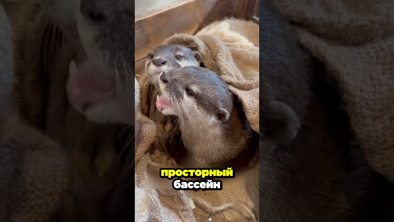 А как поступили бы ВЫ?😨