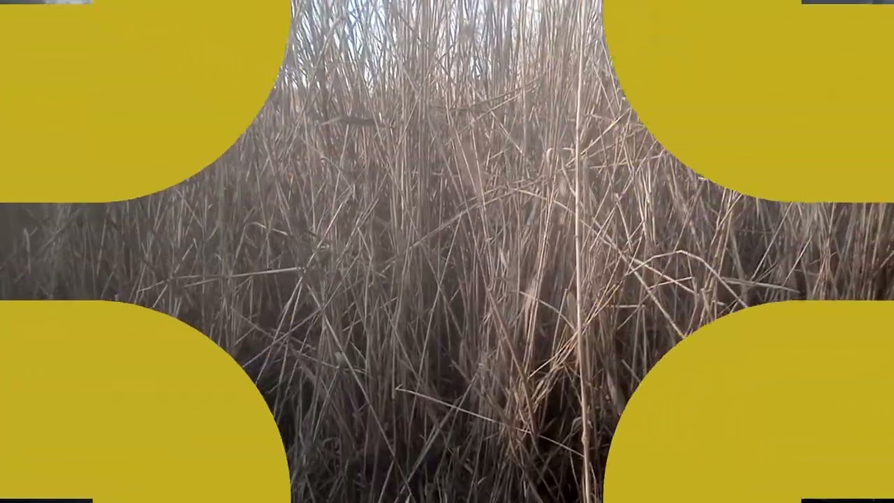 Река Кумшак. 27. 2. 26.