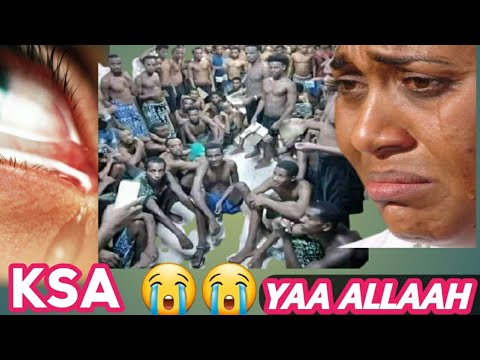 Ijoollee Hanga Ammaa Mana Hidhaa Jiran KSA