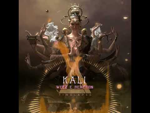 Weez & Reaction - Kali