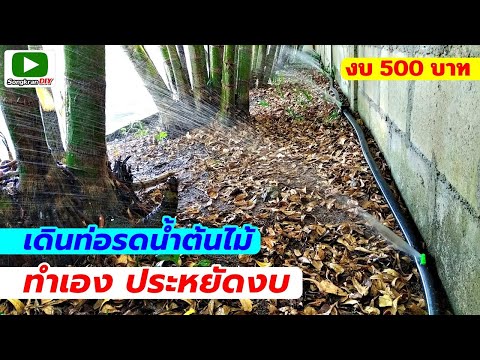 วีดีโอ: รดน้ำต้นไม้ในกระถาง - วิธีการรดน้ำต้นไม้จากด้านล่าง