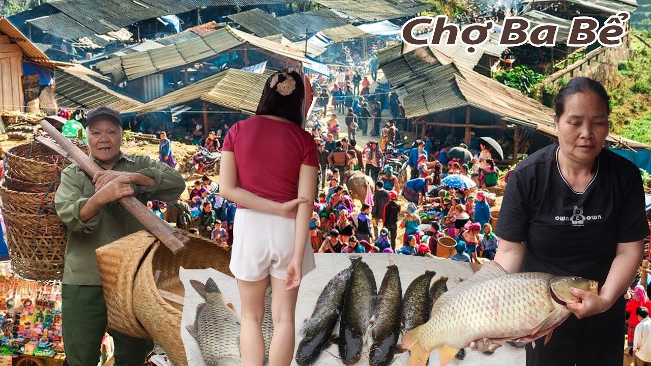 Chợ Ba Bể sau mưa lũ- Toàn cá chép khủng-cá tự nhiên đầy ắp chợ