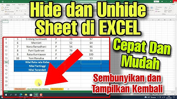 Cara Hide dan Unhide Sheet di EXCEL Dengan Mudah