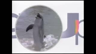 Nickelodeon Next Bumper Flipper To Special Delivery 1992