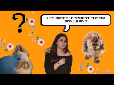 Vidéo: Comment Choisir Une Race De Lapin