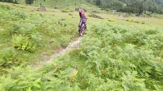 Macahel, Efeler, Fındık Yaylası, Gorgit 2025 Yaz Memleket Anıları