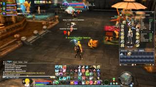 Aion Insult And No Animation Hacker Dps