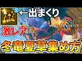 【モンハンワイルズ】 冬竜夏草は〇〇で大量入手！オススメの集め方を紹介！ 【ゆっくり実況】