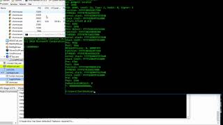 Evading Hypervisor Code Integrity