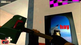 TF2- This video contains Nyan Cat, Ducks, Mailboxes and Flamethrowers