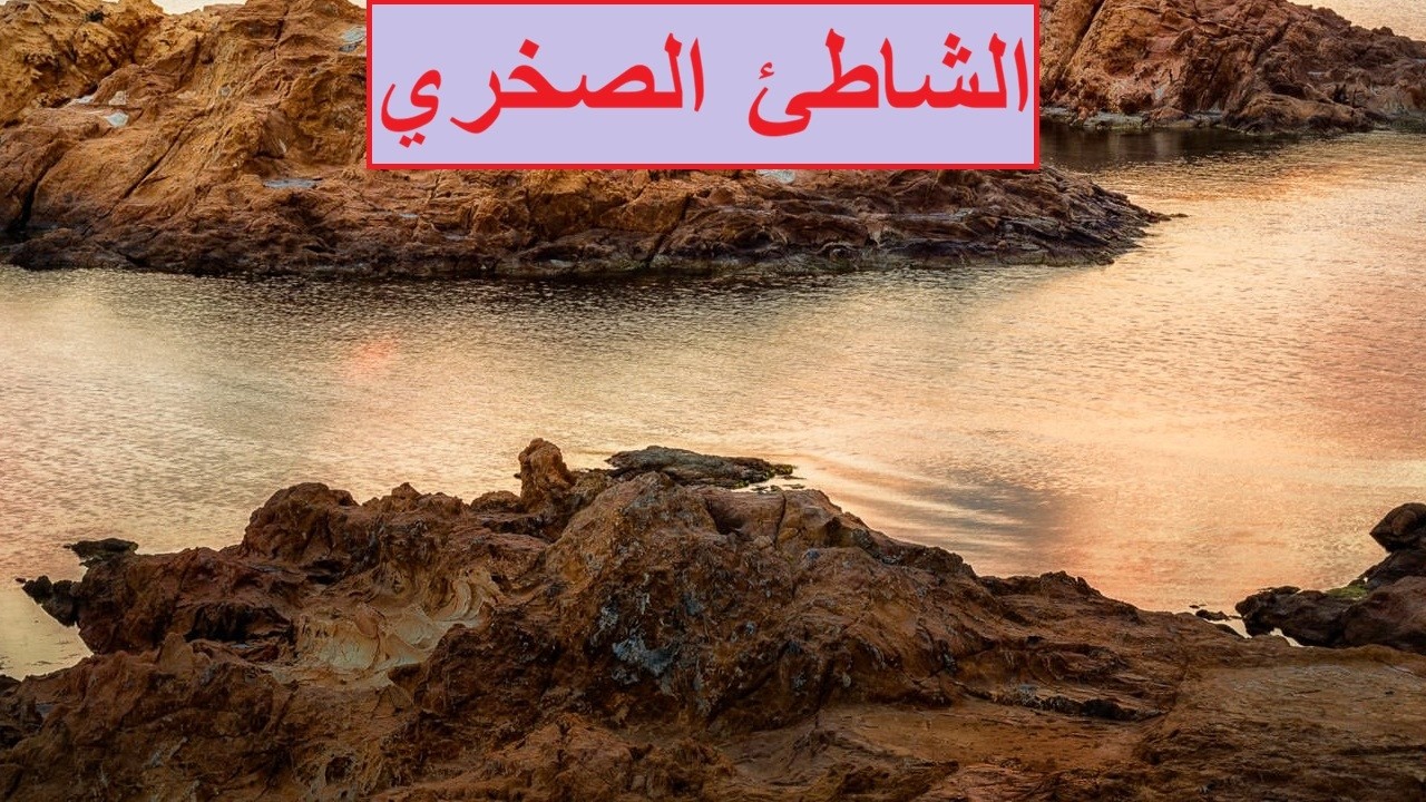 الشاطئ الصخري / العلوم البيئية / صف ثاني عشر / مناهج سلطنة عمان / كامبريدج / استاذ / محمد صالح