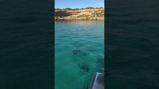 Grindal Island August 16th 2020