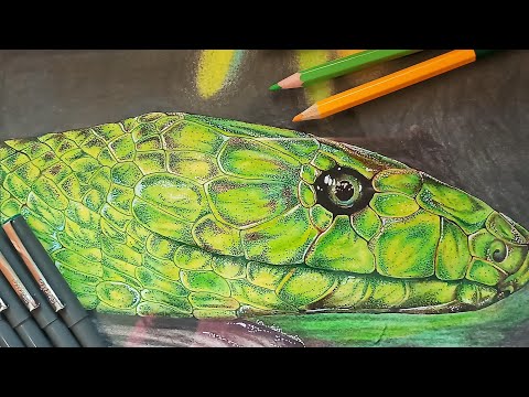 How to draw a realistic green snake 🐍