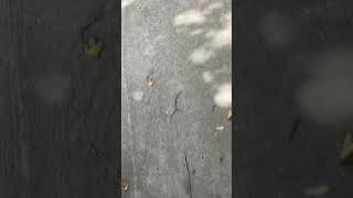 IMG 0544 1