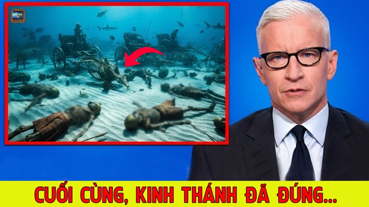 SỐC! Bằng Chứng MỚI NHẤT Về Đạo Quân Pha-ra-ông Dưới Biển Đỏ Khiến Cả Thế Giới Kinh Hoàng