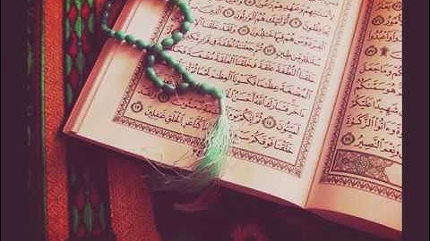 سورة الرحمن - وديع اليمني .. صوت جميل