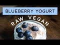 Raw Vegan Blueberry Yogurt Ready in 5 Minutes
