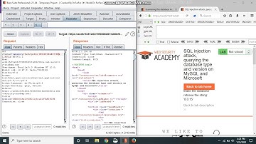 SQL injection attack, querying the database type and version on MySQL and Microsoft