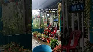 Monsoon Magic in My Garden 🌿✨| Rain is love #gardening #terracegardenindia #plants #rain #weather