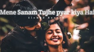 Maine Sanam Tujhe Pyar Kiya Hai || (Slowed and Reverb) || Udit Narayan || Bewafaa | Lofi Mashup Song