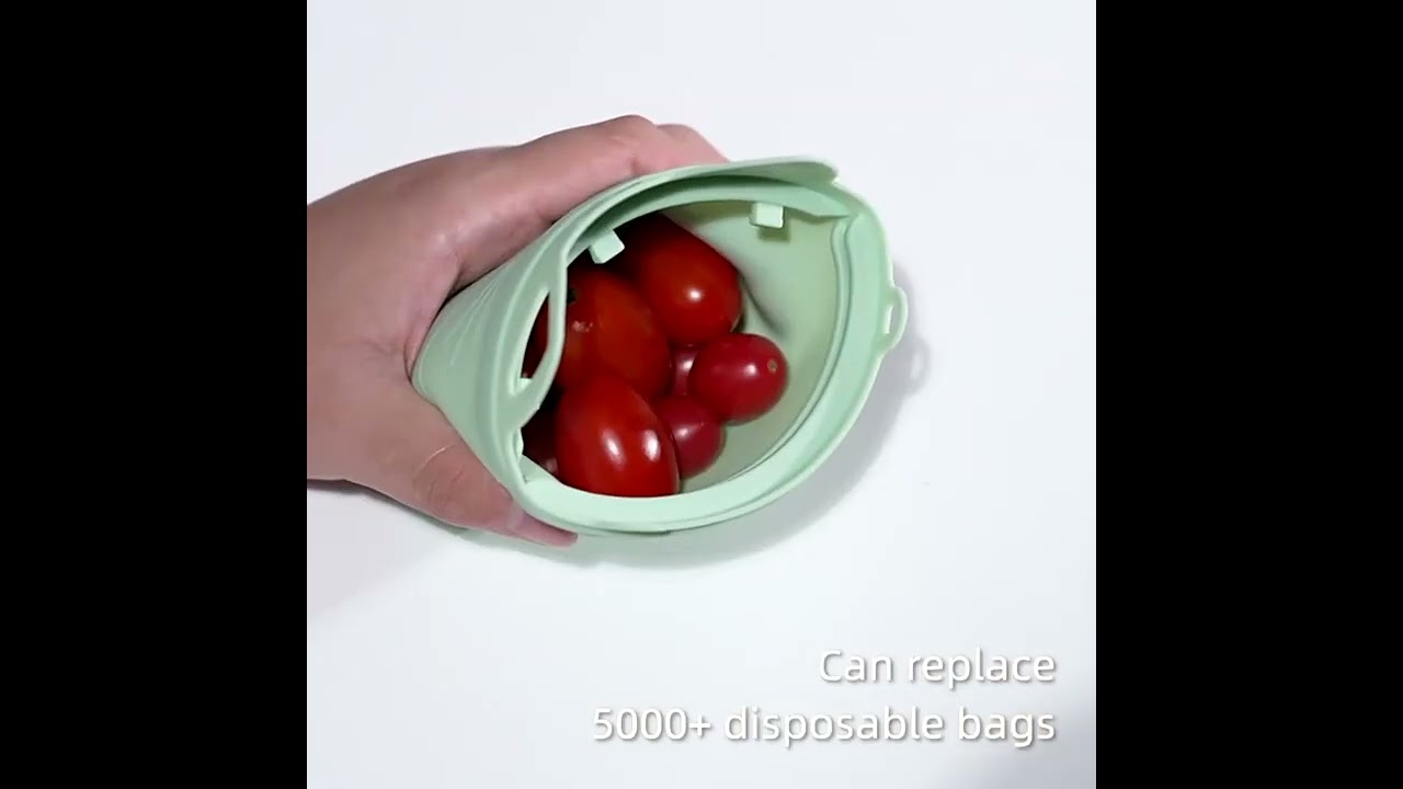 Reusable 100% Silicone Food Storage Bag and Container
