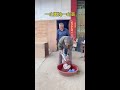 It's you causing trouble #funny #funny video #funny family #high-energy comedian