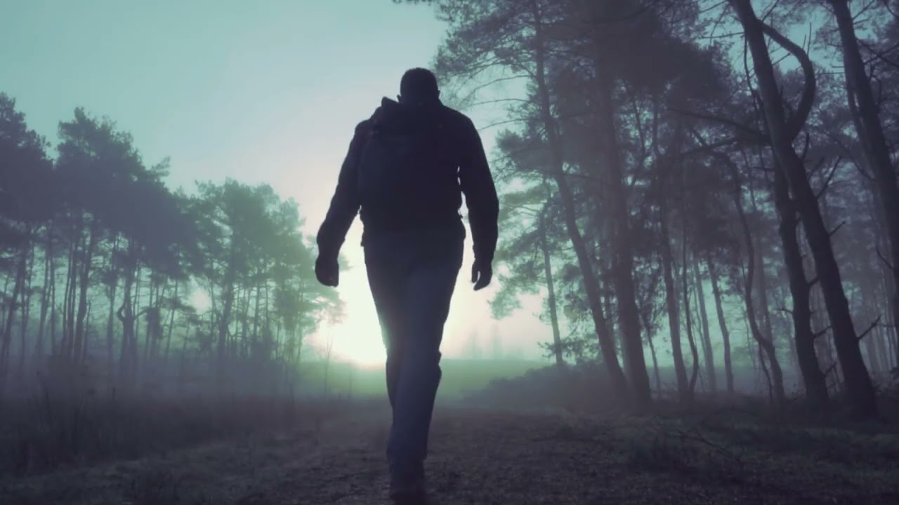 I Walk Alone   Stuart Gray