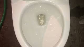 2007 Jameco One Piece Toilet Dry Bowl Flush