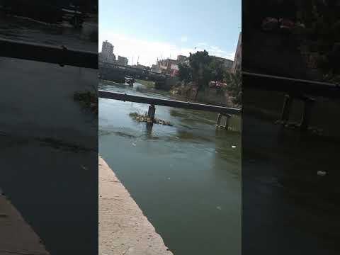 بحر مويس من أمام مسكن عزبة العساكرة بمدينة ههيا شرقية 1 