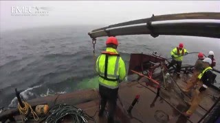 EMEC Integrated Monitoring Pod Deployment