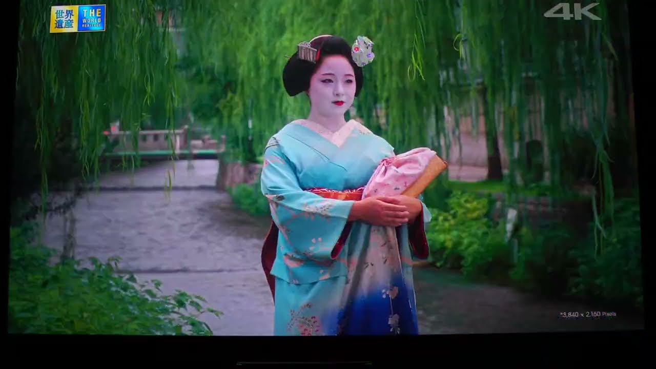 Sony VPL VW1025ES 4K X1 Laser Projector Video Demo Price $50,000