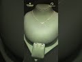 Butterfly necklace set...🦋