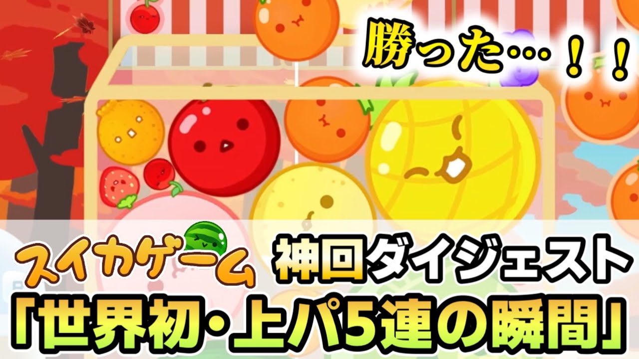 【スイカゲーム/神回】新･最強戦術“上パイン型”で世界初の5連ダブルスイカを達成した神テイクのダイジェスト！！